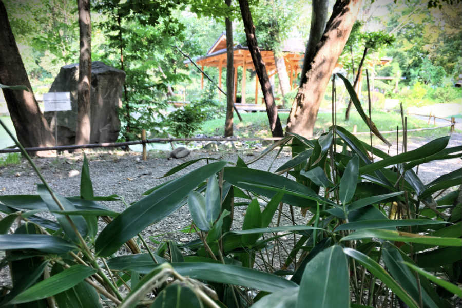 Szentendre Japánkert