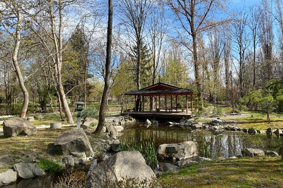 Szentendre Japánkert