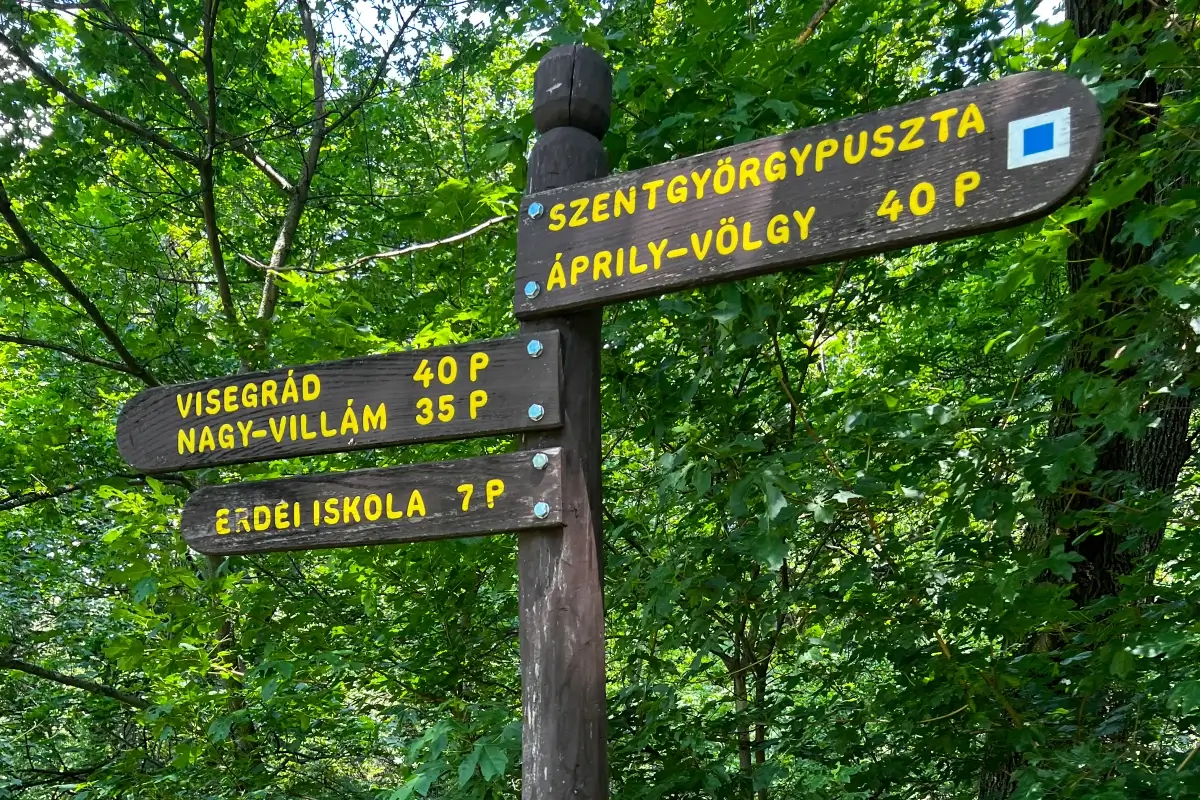 Mogyoróhegyi Természetismereti Tanösvény, Visegrád